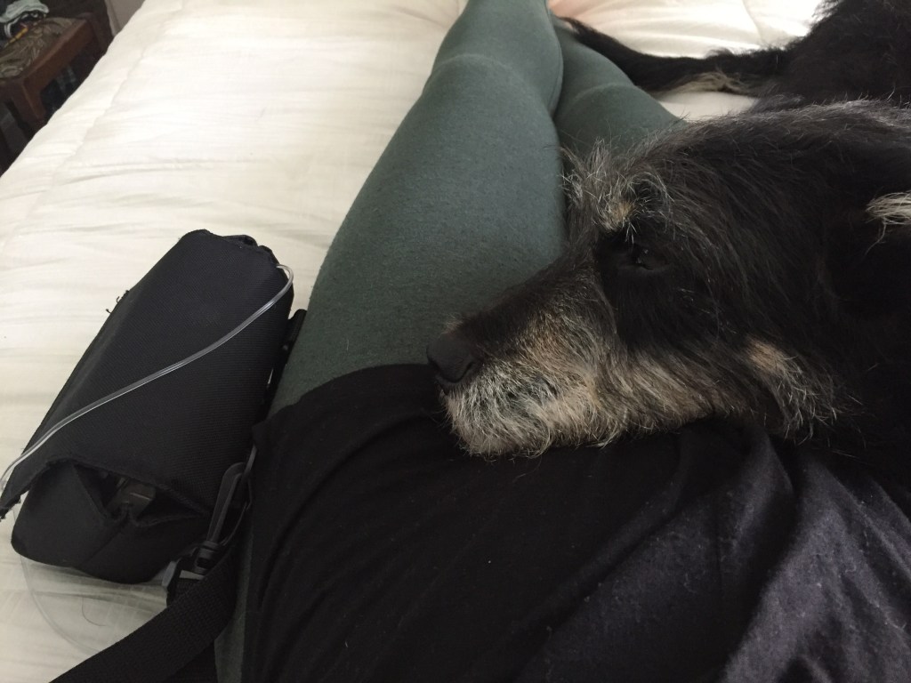 This is Wallace and that is my chemo pump that hangs out with me for 48 hours after my Mondays infusion. 